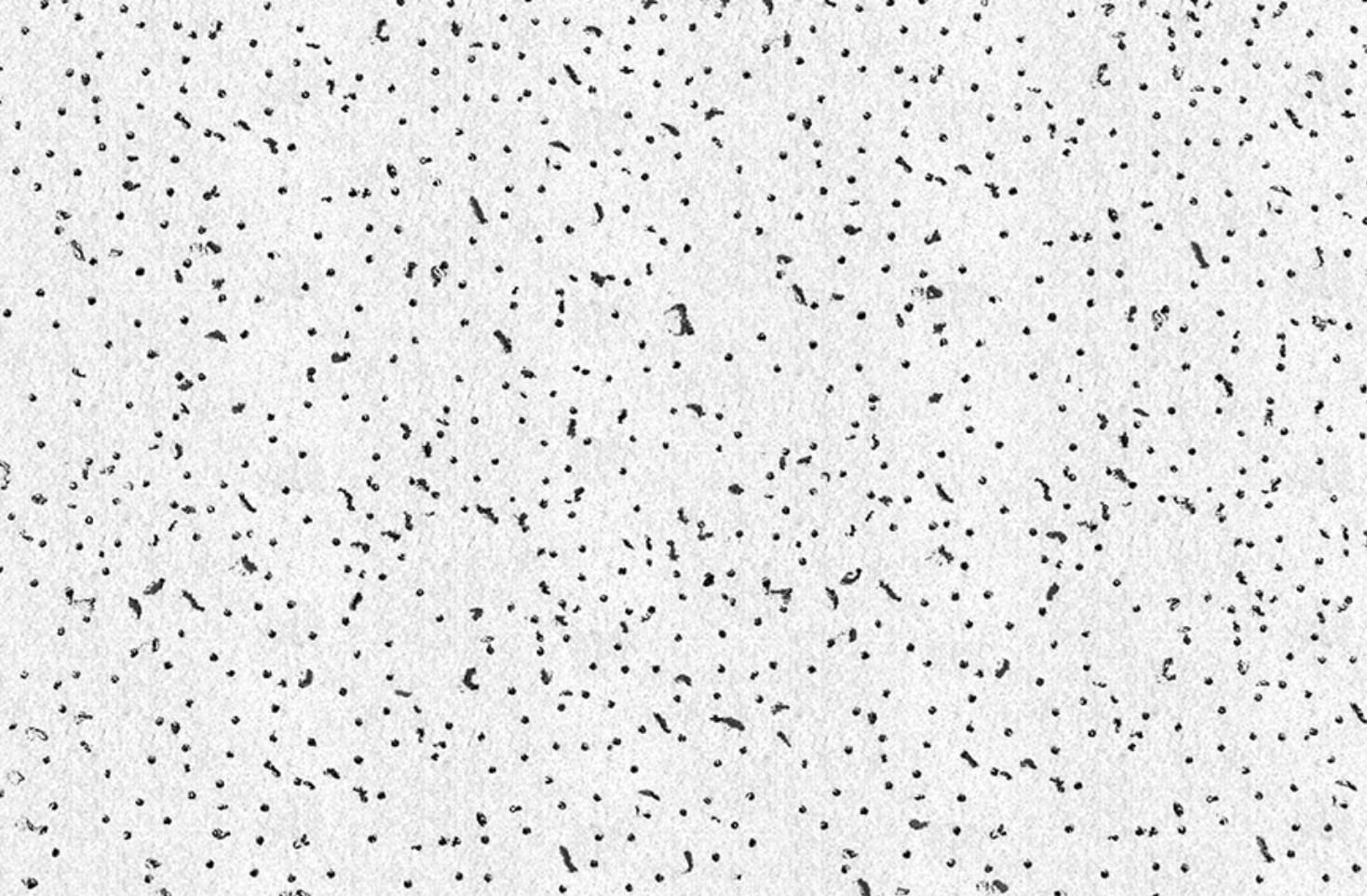 usg impression 904star 1200mm x 600mm tile 15mm box 8